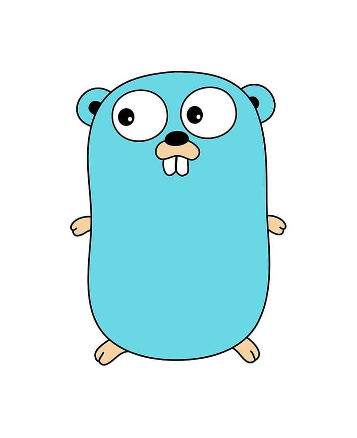 Learning Golang in 24 hours