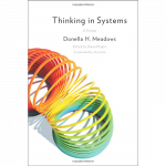 Review and essential highlights from "Thinking in Systems : A Primer ...