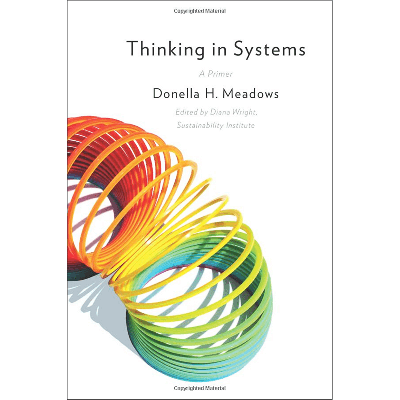 critique of donella meadows thinking in systems